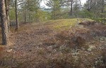 Liåsen Liåsen