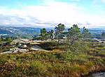 Ørnemyrfjellet Ørnemyrfjellet
