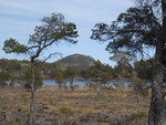 Steinfjellet Steinfjellet