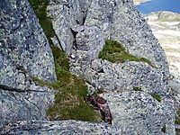 500fjell_2008-07-09_07.jpg