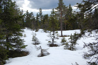 Litt snø igjen hist og pist. Her fra toppområdet.