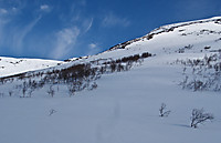 500fjell_p5020306.jpg