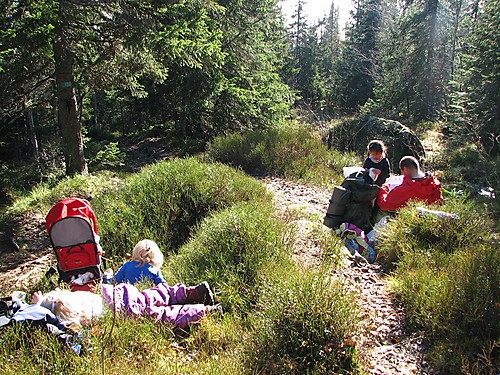 Pause på stien til Svarttjernskollen.