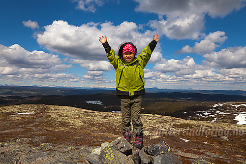 På Makalaustoppen (1099 moh).