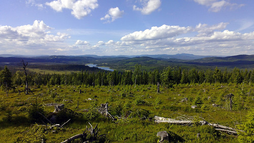 Utsikt mot Trysilfjellet 200-300 m nord for toppen