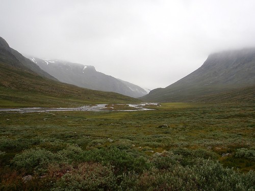 Gråvær i Visdalen, men jeg lever fortsatt på minnene i morges.