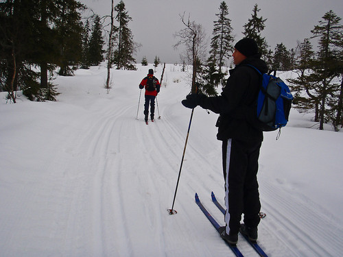 Erling og Øyvind i naturskjønne omgivelser.