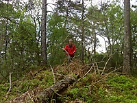 Høyeste punkt vi fant på Bjørnaåsen i Os