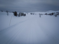 Velpreparerte langrennsløyper innover Nystølsfjellet.