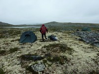 bergtatt_130630_hardangervidda1.jpg