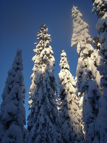 Trollvinter i Finnemarka.