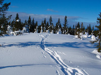 500fjell_p3040300.jpg