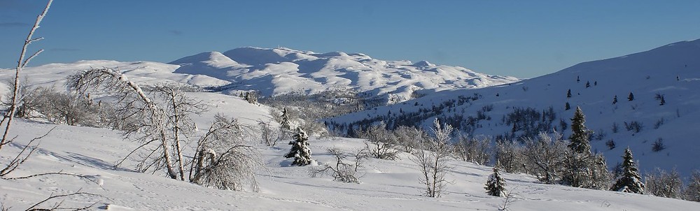 Spåtind dominerer selvsagt i dette området.