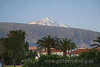 Snødekt Teide sett fra Puerto de la Cruz en kveld.