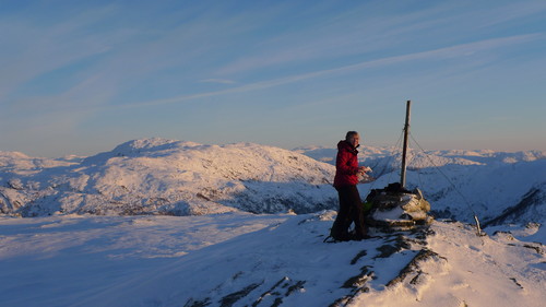 Trigmerket på Stangfjellet 640 moh. Bruviknipa i bakgrunnen til venstre