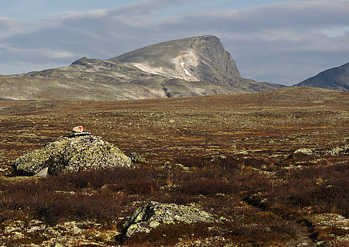 Storskrymten sett fra sør. Sør-Trøndelags tak!