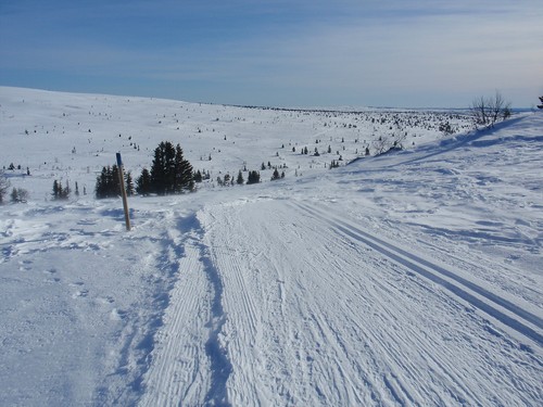 Skisporene fra vinterferien var ennå til god hjelp!