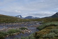 Endelig dukker "skrymtene" opp.