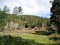 500fjell_espehaugen.jpg