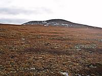 Lettgått terreng mot Blåkollen fra nordvest.