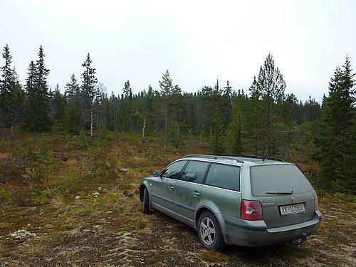 Kaktjernsberget bak, ingen storslagen naturopplevelse.