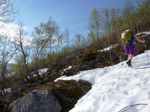 Elise på veien opp gjennom skogen