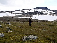 Myrlandskap, i bakgrunnen titter Steinflytinden opp, Høgdebrotet til høyre.