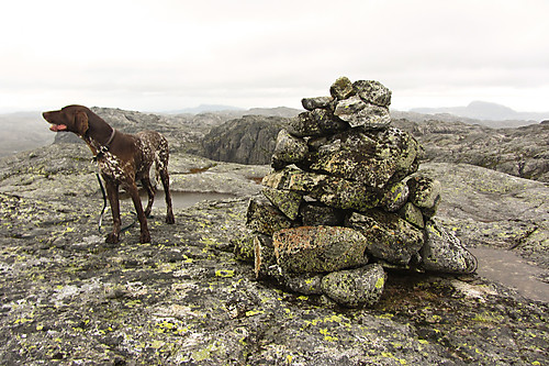 På toppen av Stora Blåfjell. Napen (1350) ses bak til høyre.