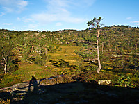 Høstfarger på vei inn til Befjell