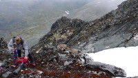 Tilbake på trygg grunn. Vi kom oss over snørennen og svaene men ga oss på den mosekledde flaten i forkant av skaret ned mot trollet