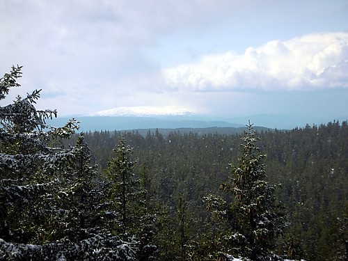 Norefjell sett fra tårnet på Oppkuven.