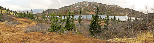 Et lite panorama ved Homtjønn. Blåtjønnfjellet ses bak.