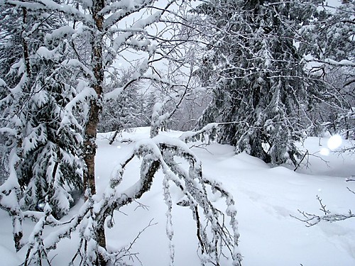 Presteseteråsen (østtoppen)...