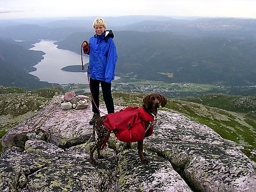 På Gøysen, Seljord sentrum og vatnet bak (hvor er sjøormen?).