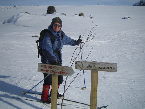 Kjekt med DnT-merkede skiløyper i fjellet