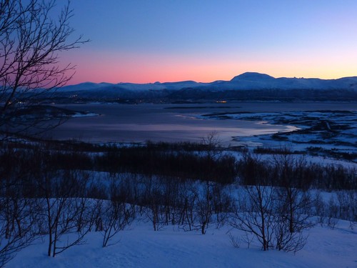 View across to Tromsdalstinden from somewhere in the forest. The mørketid light was at its best again!