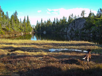 Idyllisk tjern.