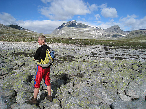 Moskus i Svånådalen