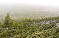 Godt å få øye på Finndalselva etter den bratte sørflanken ned fra Cahcevahnjunni.