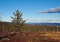 500fjell_2010-11-07_14.32.09.jpg