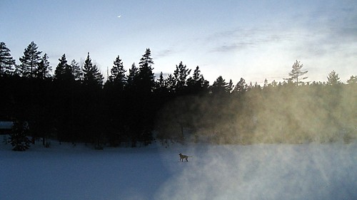 Frigg i mørket på Damvann ved Svelvik.