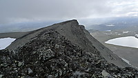 Kvitskardoksle, foto mot sør