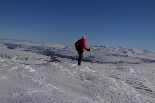 Gråhøe 1667 og Rondane