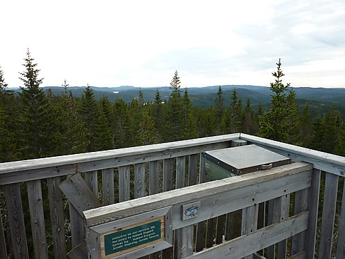 Fra utsiktstårnet på Svarttjernshøgda med utsikt sørover i Nordmarka.