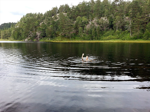 Herlig sommerbad i tjønna under toppen.