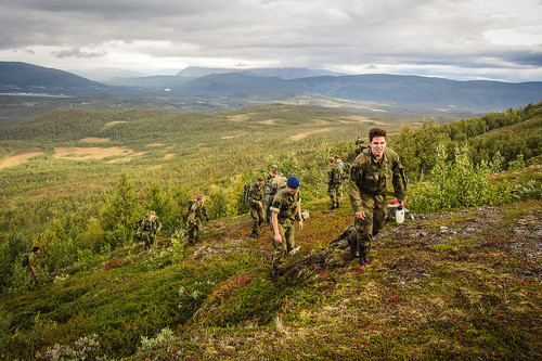 Kommet over skoggrensa og en frisk bris møter oss.