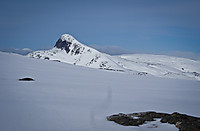 500fjell_p4220089.jpg