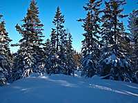 500fjell_p2050259.jpg