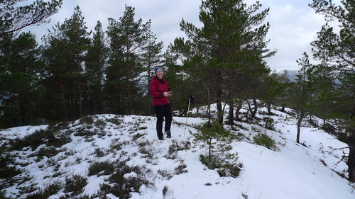 Astrid på det høyeste punktet på Klubben, Osterøy