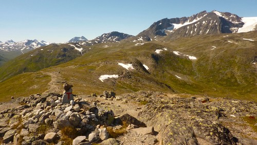 Stien går forbi Surtningssue (på høyre siden)